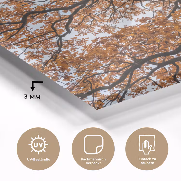 Boom - Bladerdak - Herfst - Oranje - Sfeervol plexiglas 5mm klein -wsfeer2_DE