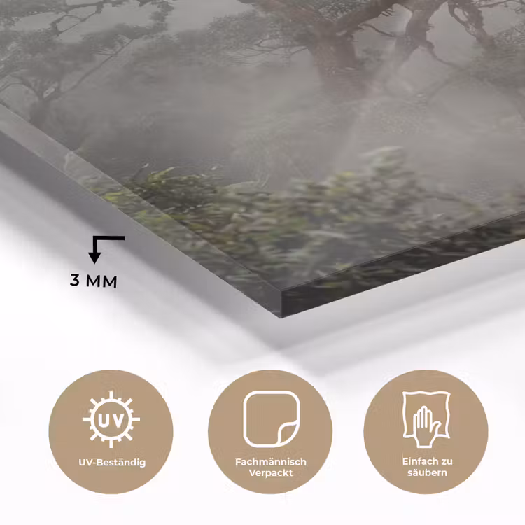 Boom - Mistig - Bos - Groen - Natuur plexiglas 5mm klein -wsfeer2_DE