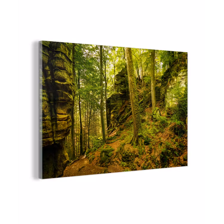 Bomen - Steen - Bos - Natuur - Planten plexiglas 5mm klein -z3d