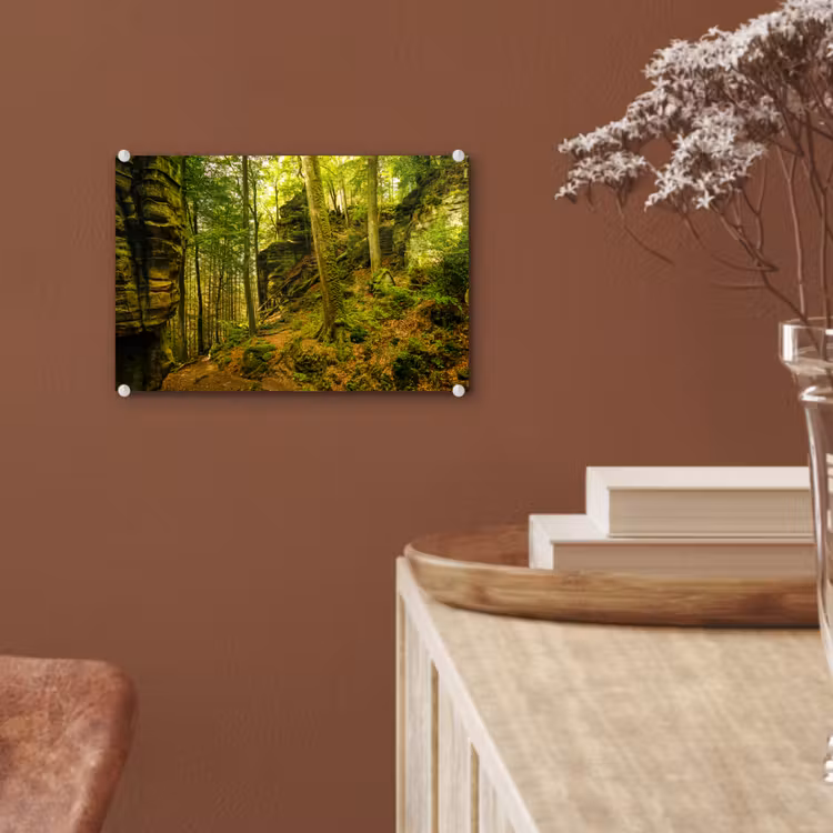 Bomen - Steen - Bos - Natuur - Planten plexiglas 5mm klein -sfeer5
