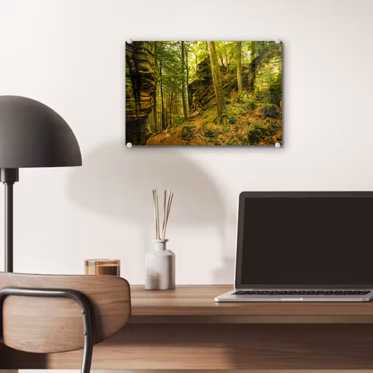 Bomen - Steen - Bos - Natuur - Planten plexiglas 5mm klein -sfeer6