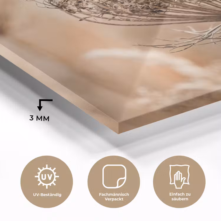 Schermbloem - Droogbloem - Winter - Beige - Minimalistisch plexiglas 5mm klein -wsfeer2_DE