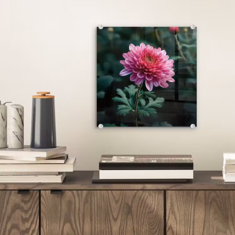 Blad - Chrysant - Roze - Schaduw plexiglas 5mm klein -sfeer1
