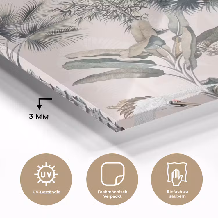 Bladeren - Monstera - Jungle - Tropical plexiglas 5mm klein -wsfeer2_DE