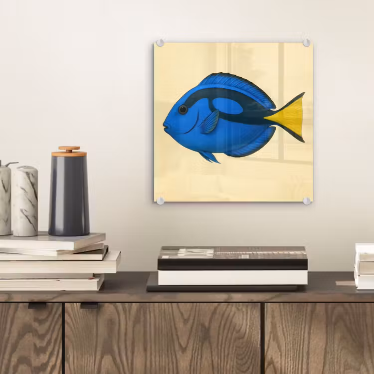 Blauw - Dory - Vis - Staartvin plexiglas 5mm klein -sfeer1