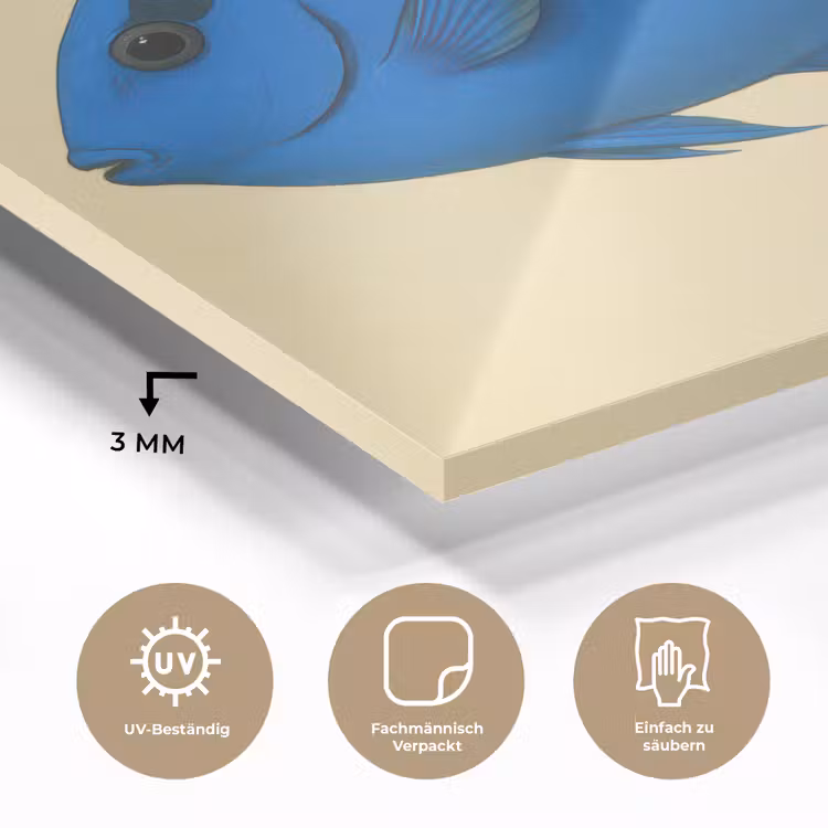 Blauw - Dory - Vis - Staartvin plexiglas 5mm klein -wsfeer2_DE
