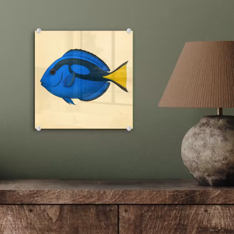 Blauw - Dory - Vis - Staartvin plexiglas 5mm klein -sfeer3