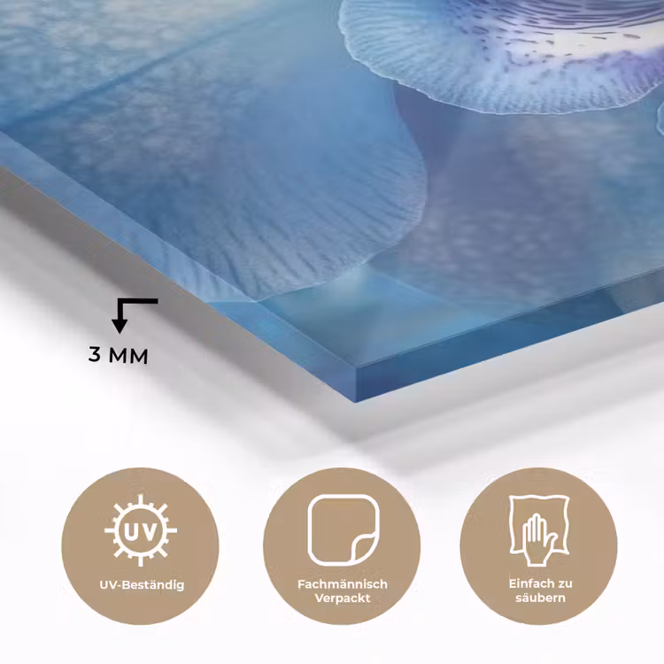Blauw - Orchidee - Elegeant plexiglas 5mm klein -wsfeer2_DE
