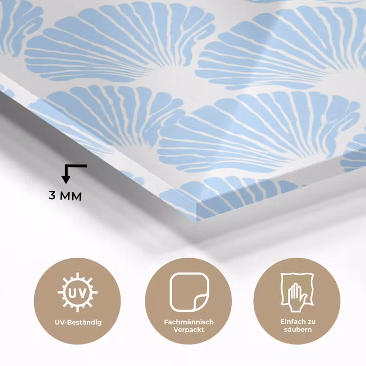 Blauw - Wit - Schelpen - Grafisch - Structuur plexiglas 5mm klein 11 -wsfeer2_DE
