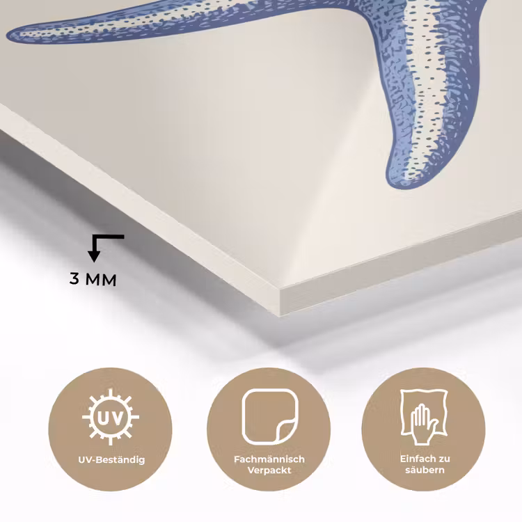 Blauwe zeester - Minimalistisch - Beige plexiglas 5mm klein -wsfeer2_DE