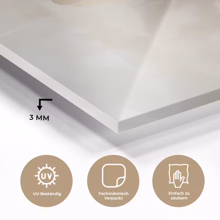 Bloem - Beige - Verf - Schaduw plexiglas 5mm klein -wsfeer2_DE