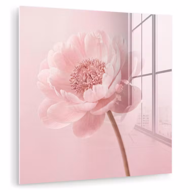 Bloem - Pioenroos - Roze plexiglas 5mm klein -zzzproduct_nieuw