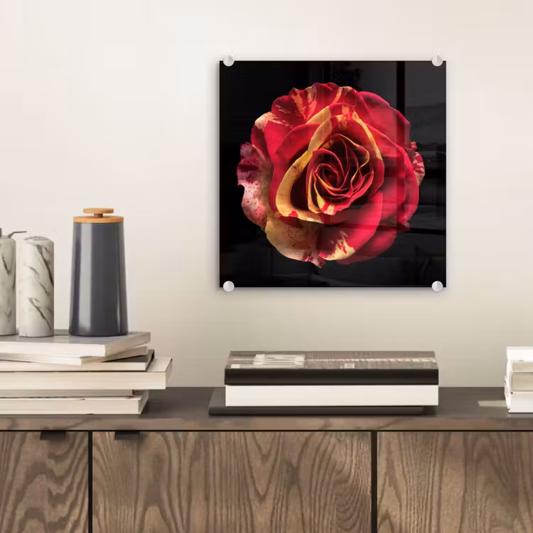Bloem - Roos - Rood - Zwart plexiglas 5mm klein -sfeer1