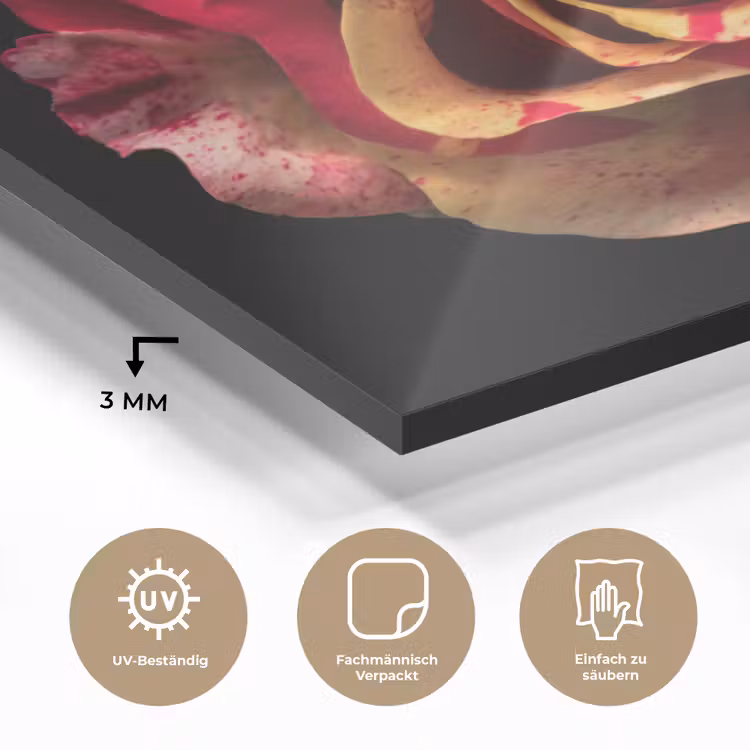 Bloem - Roos - Rood - Zwart plexiglas 5mm klein -wsfeer2_DE