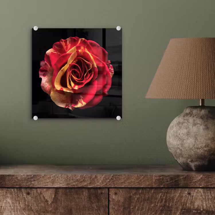 Bloem - Roos - Rood - Zwart plexiglas 5mm klein -sfeer3
