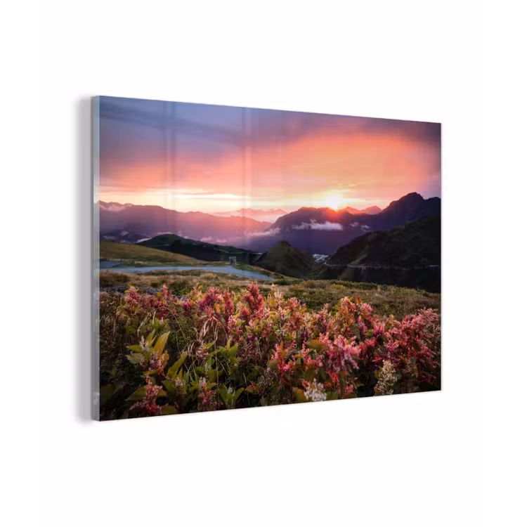 Bloemen - Bergen - Landschap - Nacht - Lucht - Roze plexiglas 5mm klein -zzzproduct_nieuw