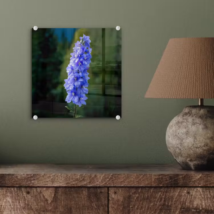 Bloemen - Blauw - Dennenboom plexiglas 5mm klein -sfeer3