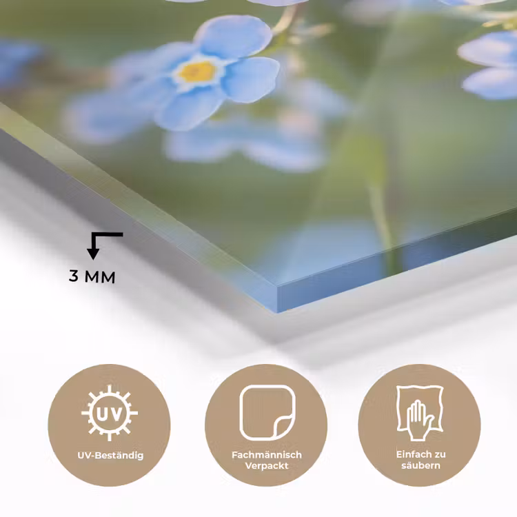 Bloemetjes - Blauw - Vergeet mij nietjes plexiglas 5mm klein -wsfeer2_DE