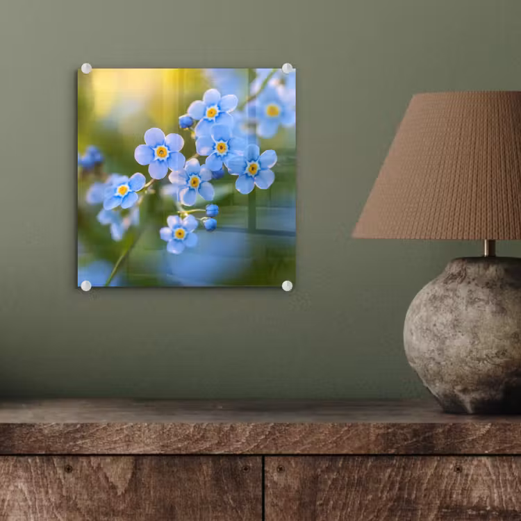 Bloemetjes - Blauw - Vergeet mij nietjes plexiglas 5mm klein -sfeer3