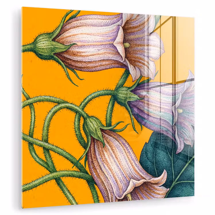 Glasbild - Blumen – Botanik – Gelb - Bloemen - Botanisch - Geel plexiglas 5mm klein