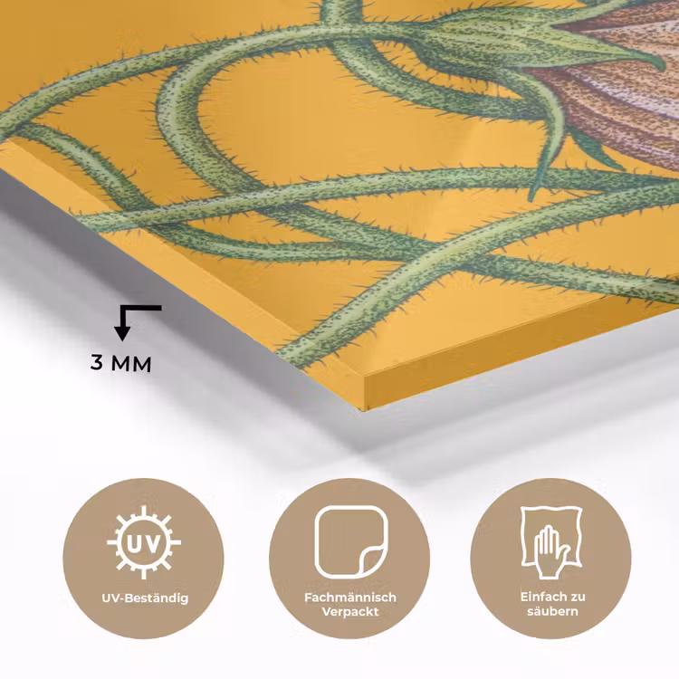 Glasbild - Blumen – Botanik – Gelb - Bloemen - Botanisch - Geel plexiglas 5mm klein
