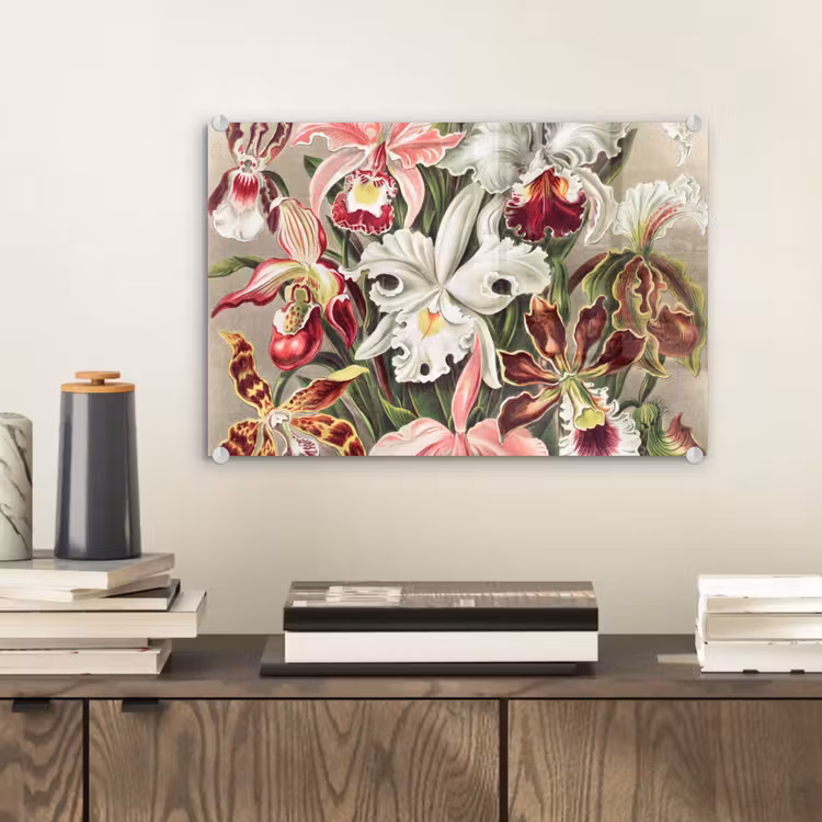 Bloemen - Ernst Haeckel - Vintage - Orchidee plexiglas 5mm klein -wsfeer2_DE