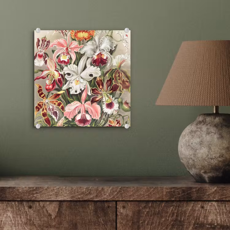 Bloemen - Ernst Haeckel - Vintage - Orchidee plexiglas 5mm klein -sfeer3