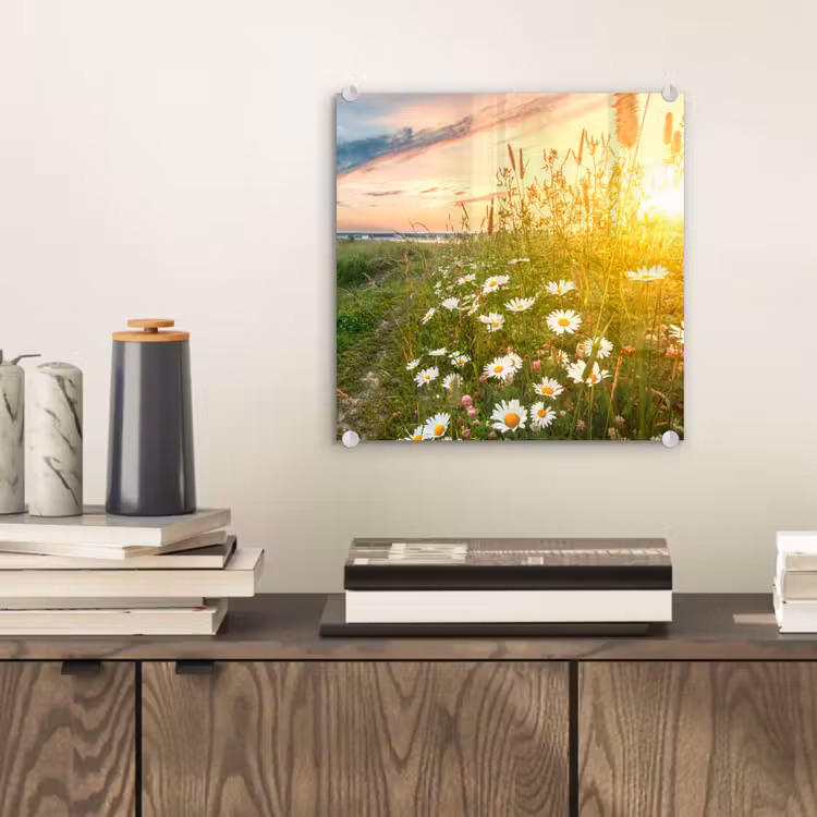 Bloemen - Madelief - Natuur - Zon - Horizon plexiglas 5mm klein -sfeer1