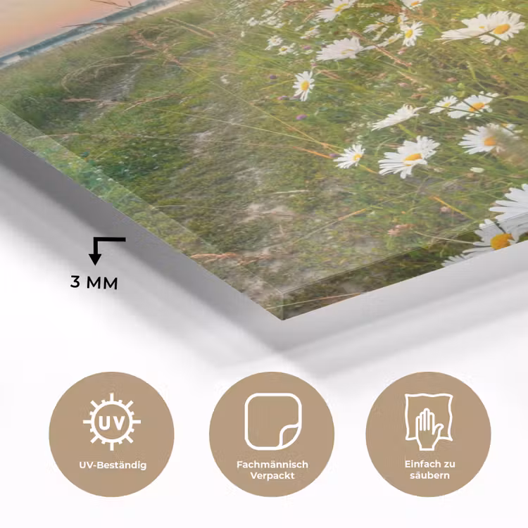 Bloemen - Madelief - Natuur - Zon - Horizon plexiglas 5mm klein -wsfeer2_DE