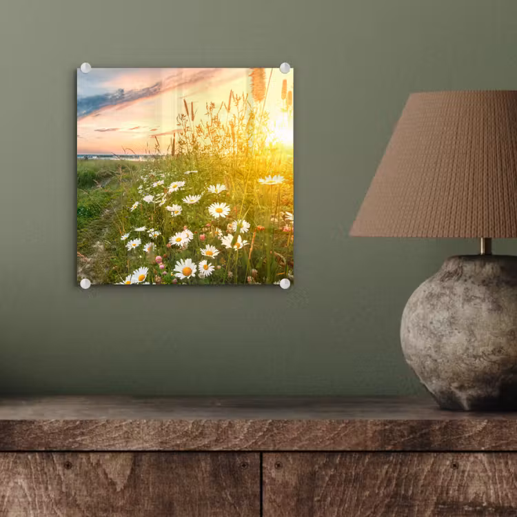 Bloemen - Madelief - Natuur - Zon - Horizon plexiglas 5mm klein -sfeer3