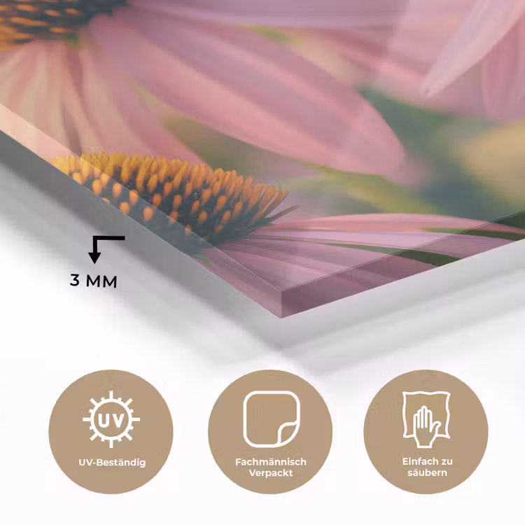Bloemen - Paars - Bijen plexiglas 5mm klein -wsfeer2_DE