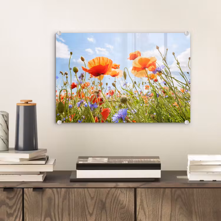 Bloemen - Klaproos - Lente - Natuur - Rood - Blauw plexiglas 5mm klein -sfeer1