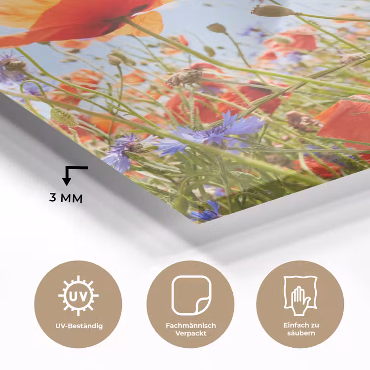 Bloemen - Klaproos - Lente - Natuur - Rood - Blauw plexiglas 5mm klein -wsfeer2_DE