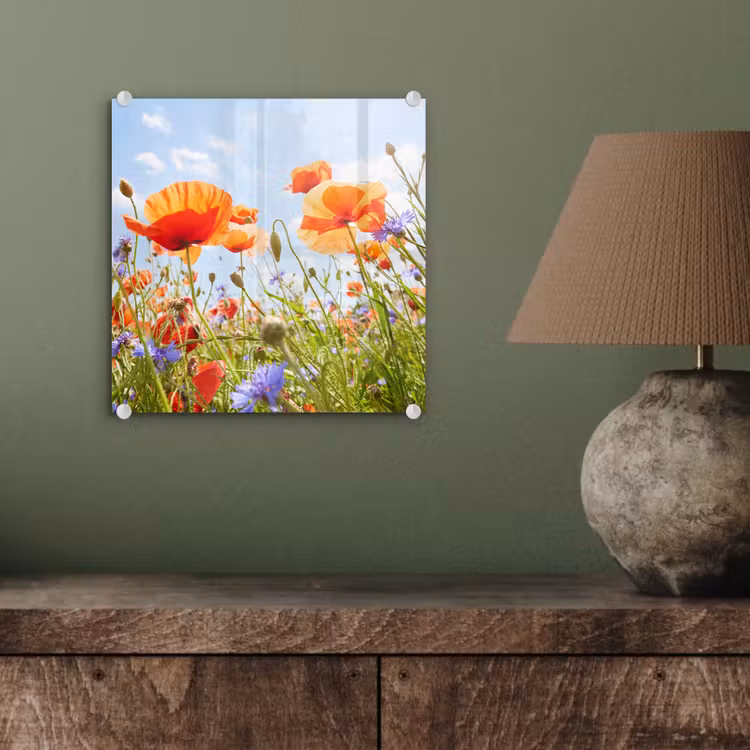 Bloemen - Klaproos - Lente - Natuur - Rood - Blauw plexiglas 5mm klein -sfeer3