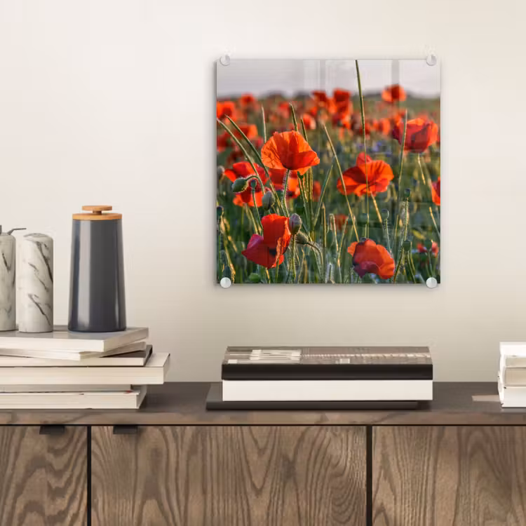 Bloemen - Klaprozen - Natuur - Rood plexiglas 5mm klein -sfeer1