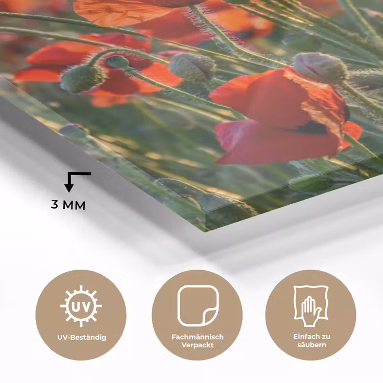 Bloemen - Klaprozen - Natuur - Rood plexiglas 5mm klein -wsfeer2_DE