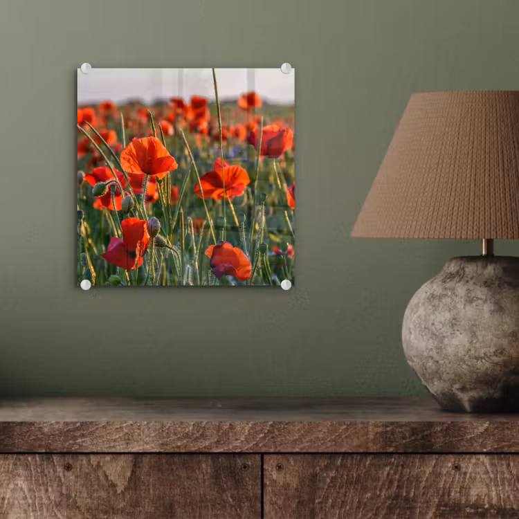 Bloemen - Klaprozen - Natuur - Rood plexiglas 5mm klein -sfeer3