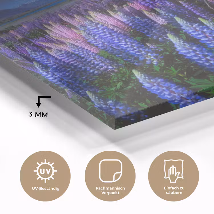 Bloemen - Nacht - Lupine - Sterrenhemel - Paars - Natuur plexiglas 5mm klein -wsfeer2_DE