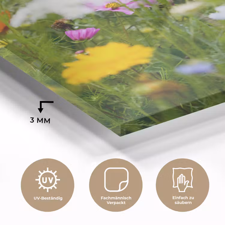 Bloemen - Natuur - Groen - Gras - Paars - Wit plexiglas 5mm klein -wsfeer2_DE