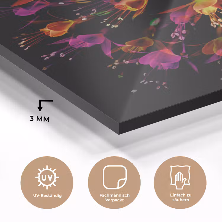 Bloemen - Oranje - Roze - Zwart plexiglas 5mm klein -wsfeer2_DE