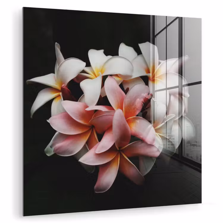 Bloemen - Roze - Zwart - Flora - Botanisch plexiglas 5mm klein -zzzproduct_nieuw