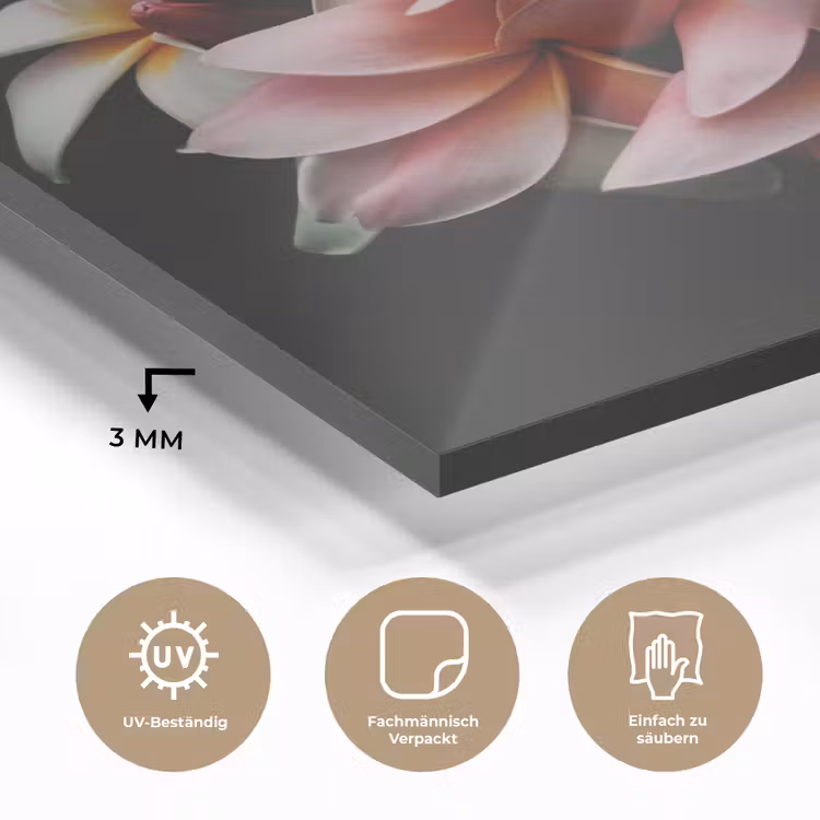 Bloemen - Roze - Zwart - Flora - Botanisch plexiglas 5mm klein -wsfeer2_DE