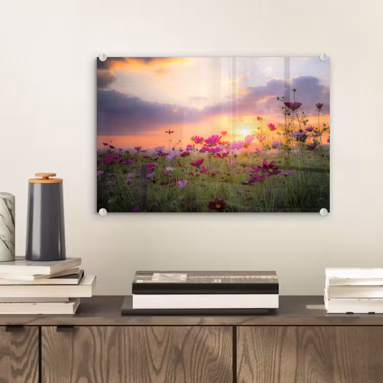 Bloemen - Roze - Zonsondergang - Natuur - Weide - Horizon plexiglas 5mm klein -sfeer1