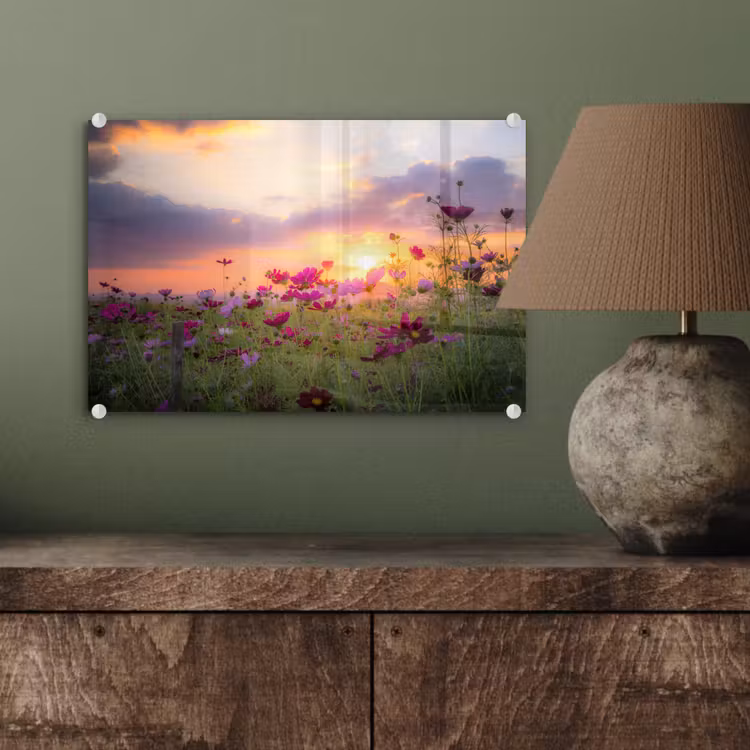 Bloemen - Roze - Zonsondergang - Natuur - Weide - Horizon plexiglas 5mm klein -wsfeer2_DE