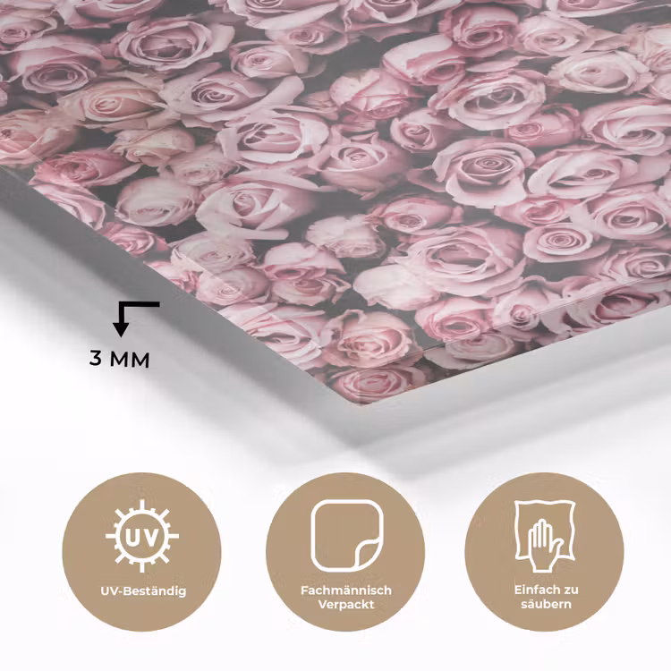 Bloemen - Rozen - Natuur - Roze - Botanisch plexiglas 5mm klein -wsfeer2_DE
