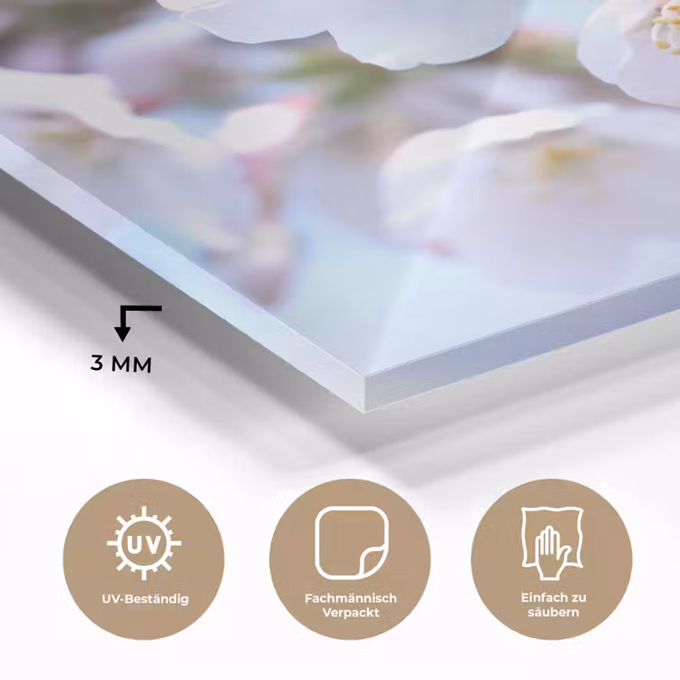 Bloemen - Sakura - Tak - Bloesem takken plexiglas 5mm klein -wsfeer2_DE