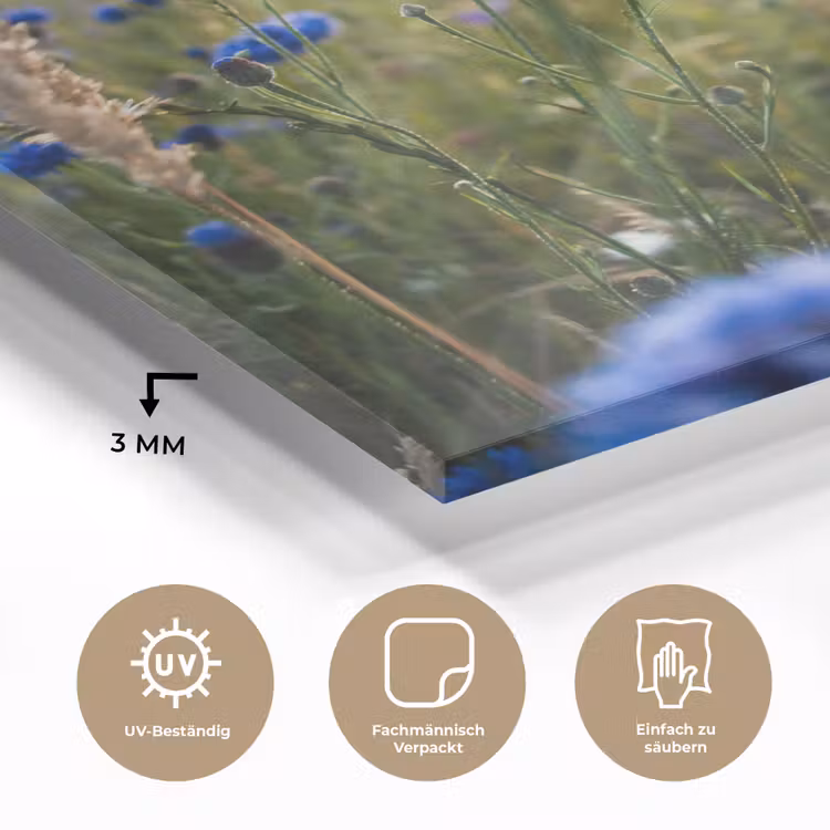 Bloemen - Zomer - Korenbloem - Blauw - Zon - Wolken plexiglas 5mm klein -wsfeer2_DE