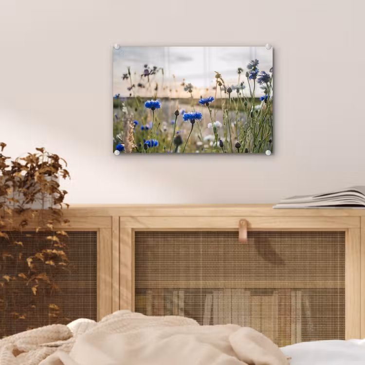 Bloemen - Zomer - Korenbloem - Blauw - Zon - Wolken plexiglas 5mm klein -sfeer3