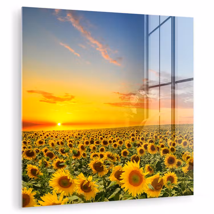 Bloemen - Zonnebloem - Zonsondergang - Nacht - Oranje plexiglas 5mm klein -zzzproduct_nieuw