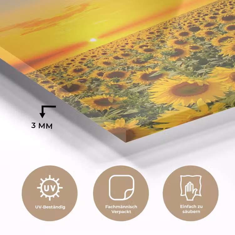 Bloemen - Zonnebloem - Zonsondergang - Nacht - Oranje plexiglas 5mm klein -wsfeer2_DE